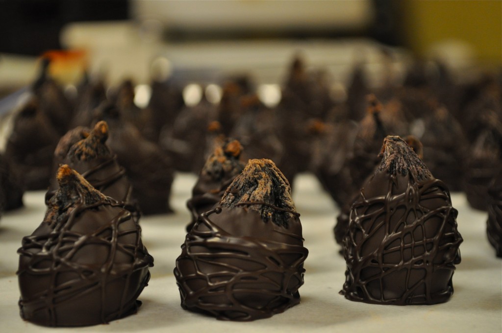 Port Figs