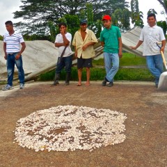 Samuel’s Cacao Farm, Quevedo, Ecuador