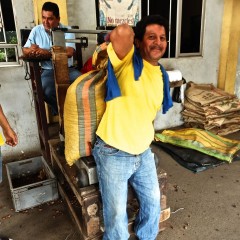 Dropping off the beans to be weighed